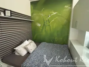 Pronájem bytu 2+kk, Praha - Vršovice, Bulharská, 31 m2