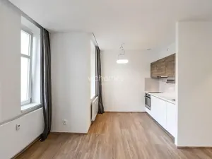 Pronájem bytu 1+kk, Praha - Vinohrady, Lucemburská, 30 m2