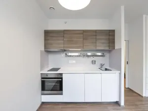 Pronájem bytu 1+kk, Praha - Vinohrady, Lucemburská, 30 m2
