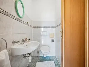 Prodej rodinného domu, Albrechtice nad Orlicí, 1. máje, 267 m2