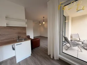 Pronájem bytu 1+kk, Český Brod, Langova, 38 m2