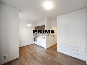Pronájem bytu 1+kk, Praha - Žižkov, Lucemburská, 30 m2