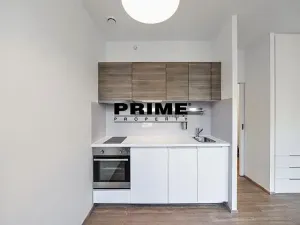 Pronájem bytu 1+kk, Praha - Žižkov, Lucemburská, 30 m2