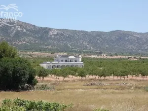 Prodej rodinného domu, Pinoso, Alicante, Španělsko, 245 m2