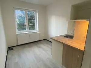 Pronájem bytu 1+kk, Praha - Hlubočepy, Na Zlíchově, 18 m2