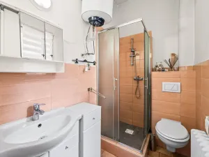Prodej rodinného domu, Plzeň - Skvrňany, Na Výspě, 244 m2