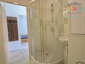 Prodej bytu 1+1, Prostějov, Libušinka, 33 m2