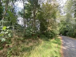 Dražba zahrady, Jindřichovice, 174 m2