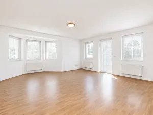 Prodej vícegeneračního domu, Mladá Boleslav, Viničná, 266 m2