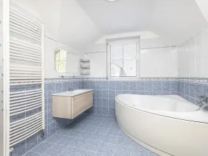 Prodej vícegeneračního domu, Mladá Boleslav, Viničná, 266 m2