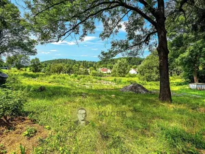 Prodej pozemku pro bydlení, Čkyně, 2677 m2