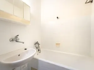 Pronájem bytu 1+1, Brno, Marie Majerové, 45 m2