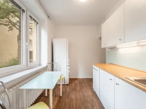 Pronájem bytu 1+1, Brno, Marie Majerové, 45 m2