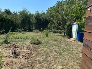 Prodej zahrady, Staré Město, 359 m2