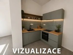 Prodej ubytování, Brno, Cejl, 60 m2