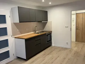 Prodej bytu 2+kk, Praha - Krč, Hurbanova, 40 m2
