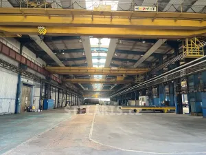 Pronájem výrobních prostor, Benešov, Černoleská, 620 m2