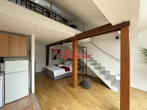 Prodej bytu 6+kk a větší, Praha - Nové Město, Řeznická, 294 m2