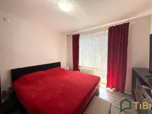Prodej bytu 2+1, Blansko, Salmova, 55 m2