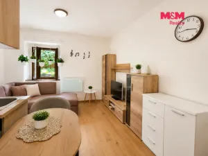 Prodej bytu 1+kk, Líšnice, Spálený Mlýn, 18 m2