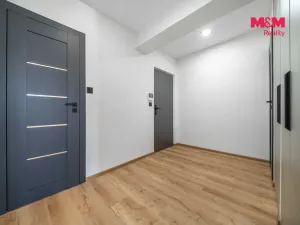 Prodej bytu 2+1, Plzeň - Doudlevce, 58 m2
