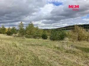 Prodej pozemku pro bydlení, Švihov - Kamýk, 22356 m2