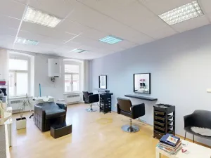 Prodej obchodního prostoru, Třebíč - Vnitřní Město, Hasskova, 400 m2
