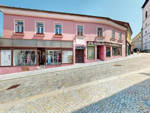Prodej obchodního prostoru, Třebíč - Vnitřní Město, Hasskova, 400 m2
