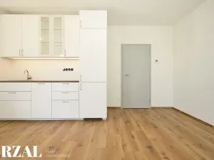 Pronájem bytu 1+kk, Dobřany, Denksteinova, 38 m2
