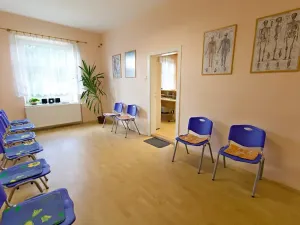 Prodej vily, Hostouň, Petra Bezruče, 320 m2