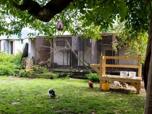 Prodej rodinného domu, Litíč, 60 m2