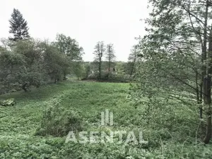Prodej pozemku, Orlová - Město, Klášterní, 5850 m2
