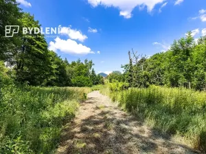 Prodej pozemku pro bydlení, Velemín, 5381 m2