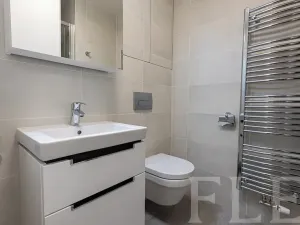 Pronájem bytu 1+kk, Praha - Žižkov, Hartigova, 34 m2