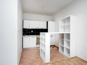 Prodej bytu 2+kk, Praha - Holešovice, Na Maninách, 52 m2