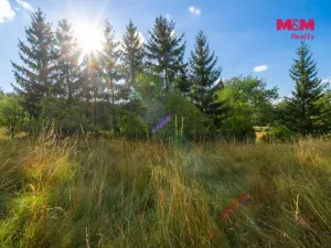 Prodej pozemku pro bydlení, Lubenec, Jelení, 1929 m2
