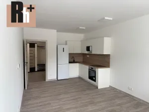 Prodej bytu 2+kk, Ostrava, Opavská, 59 m2