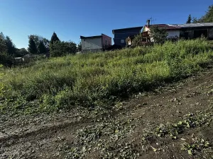 Dražba rodinného domu, Havířov, Stará, 180 m2