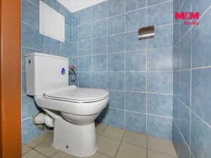 Pronájem bytu 1+1, Mnichov, 35 m2