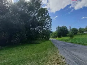 Prodej pozemku pro bydlení, Světlá Hora - Dětřichovice, 3506 m2