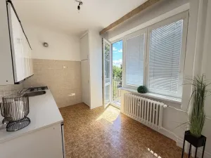 Prodej bytu 1+1, Brno - Lesná, Nejedlého, 38 m2