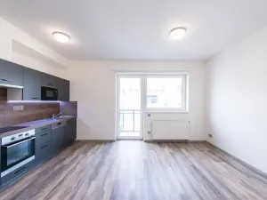 Pronájem bytu 1+kk, Plzeň, Pod Záhorskem, 447 m2
