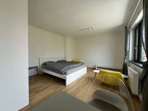 Pronájem bytu 1+kk, Písek - Pražské Předměstí, Pražská, 36 m2