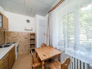 Pronájem bytu 1+1, Ostrava, Sládkova, 44 m2