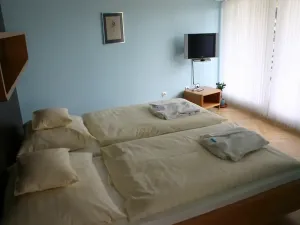 Prodej ubytování, Frýdlant nad Ostravicí, Harcovská, 500 m2