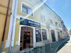 Prodej bytu 1+kk, Štětí, Krátká, 14 m2
