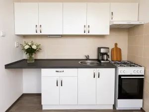 Pronájem bytu 2+1, Litvínov, Bezručova, 52 m2
