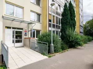 Prodej bytu 4+1, Praha - Řepy, Socháňova, 91 m2