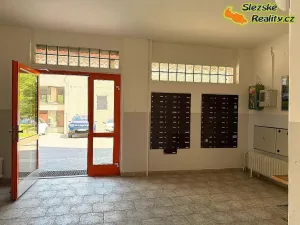 Prodej bytu 2+kk, Ostrava, Svojsíkova, 48 m2