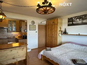Prodej bytu 2+kk, Harrachov, 50 m2